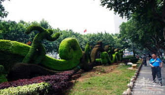 立体绿雕亮相南京街头 凸显青奥主题